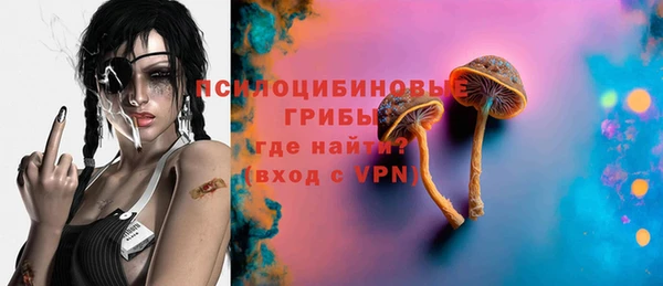 PSILOCYBIN Богородск