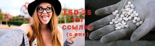 ПСИЛОЦИБИНОВЫЕ ГРИБЫ Приозерск