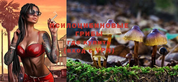 трава Богородицк