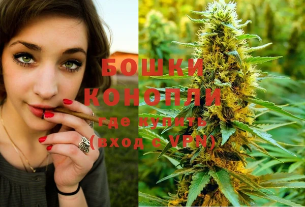 PSILOCYBIN Богородск