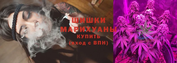 PSILOCYBIN Богородск