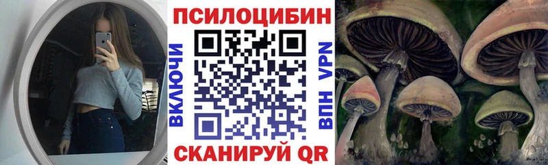 Галлюциногенные грибы Psilocybe  купить закладку  Кологрив 